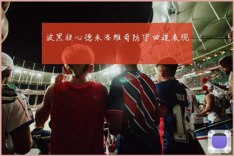 波黑核心德米洛维奇防守回追表现