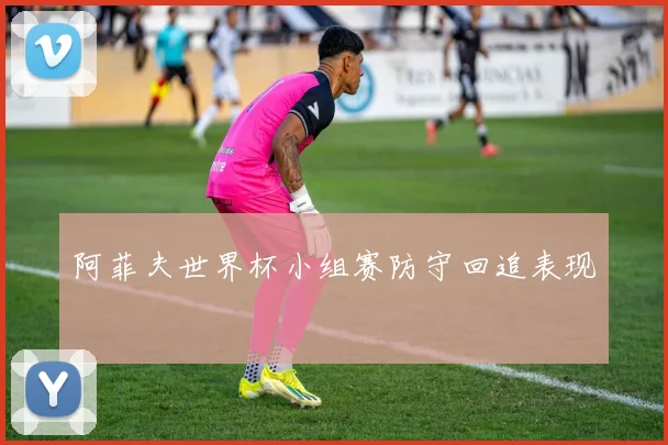 阿菲夫世界杯小组赛防守回追表现