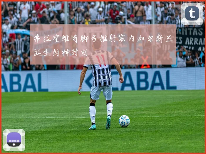 弗拉霍维奇脚弓推射塞内加尔新王诞生封神时刻
