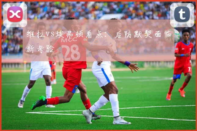 维拉vs埃弗顿看点：后防默契面临新考验
