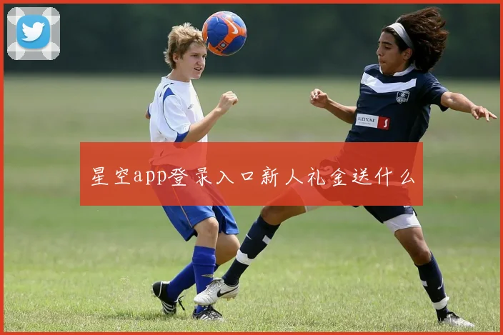星空app登录入口新人礼金送什么